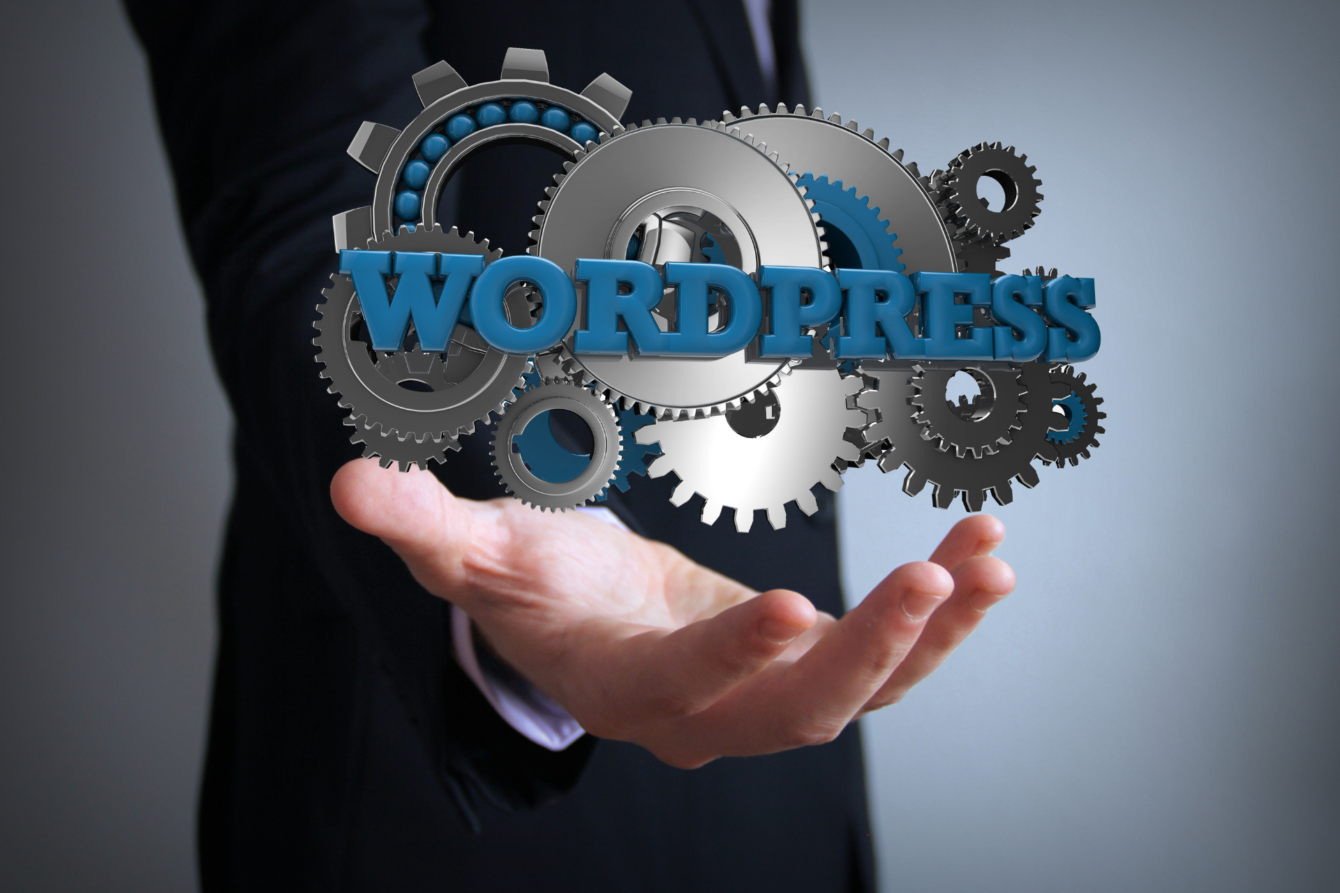 Hire Expert WordPress Developers
