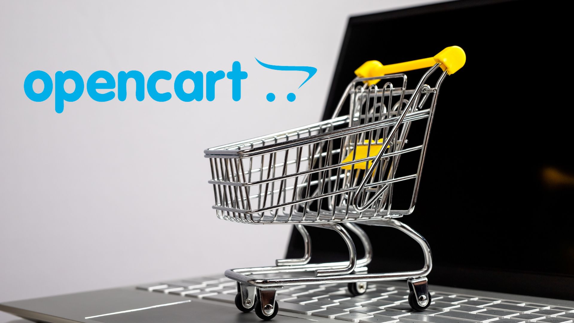 Hire Expert OpenCart Developers