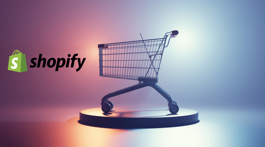 Google Ads For Shopify Store