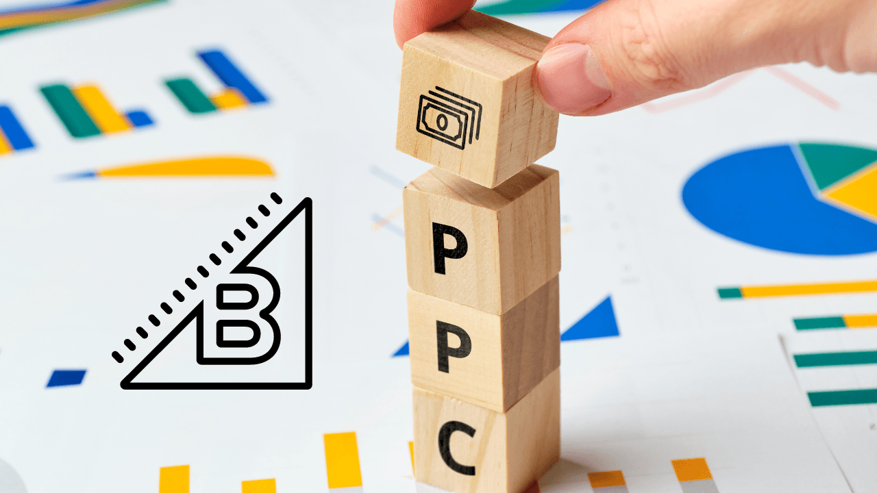 Bigcommerce PPC Expert